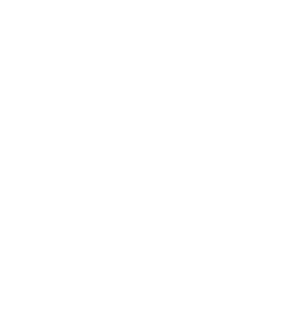 DeepSpeed